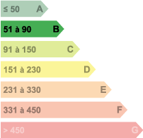 Diagnostics DPE