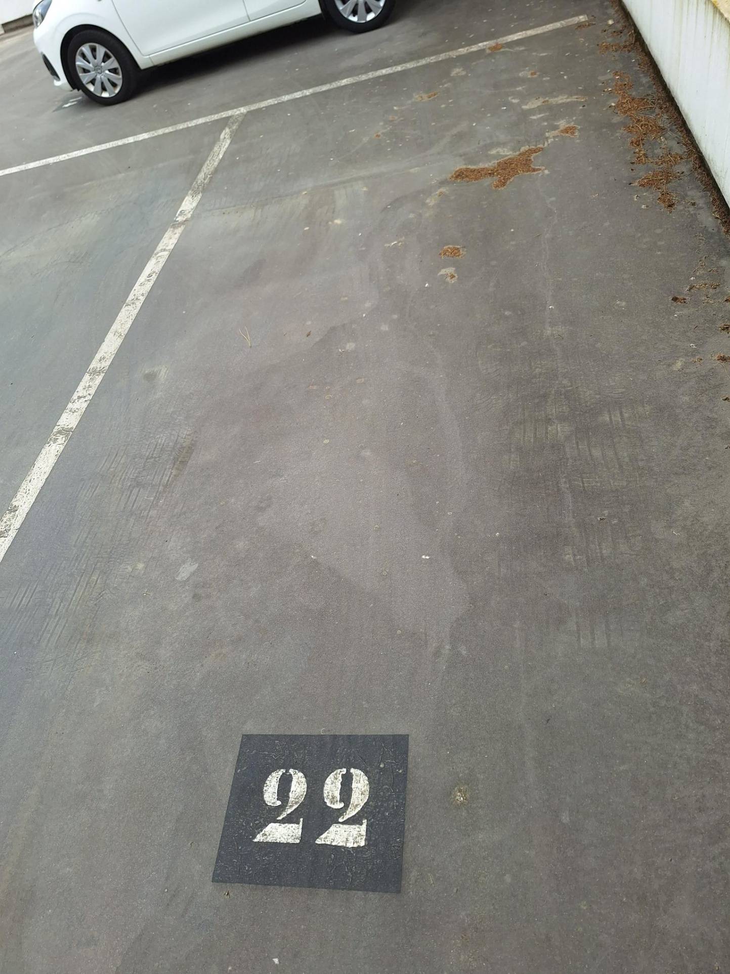 14455